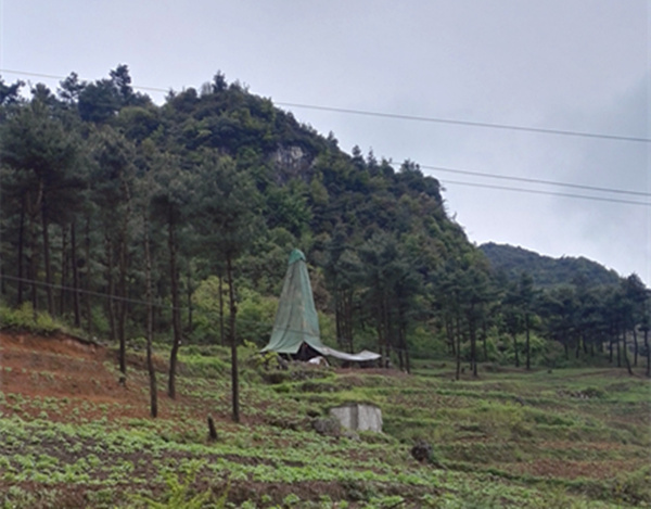 把脉“黔”锌地，问诊开良方