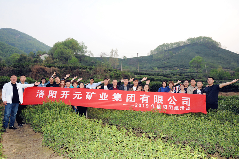 感受信阳茶文化 体验绿色生态游｜洛阳英国365集团2019年信阳团建活动