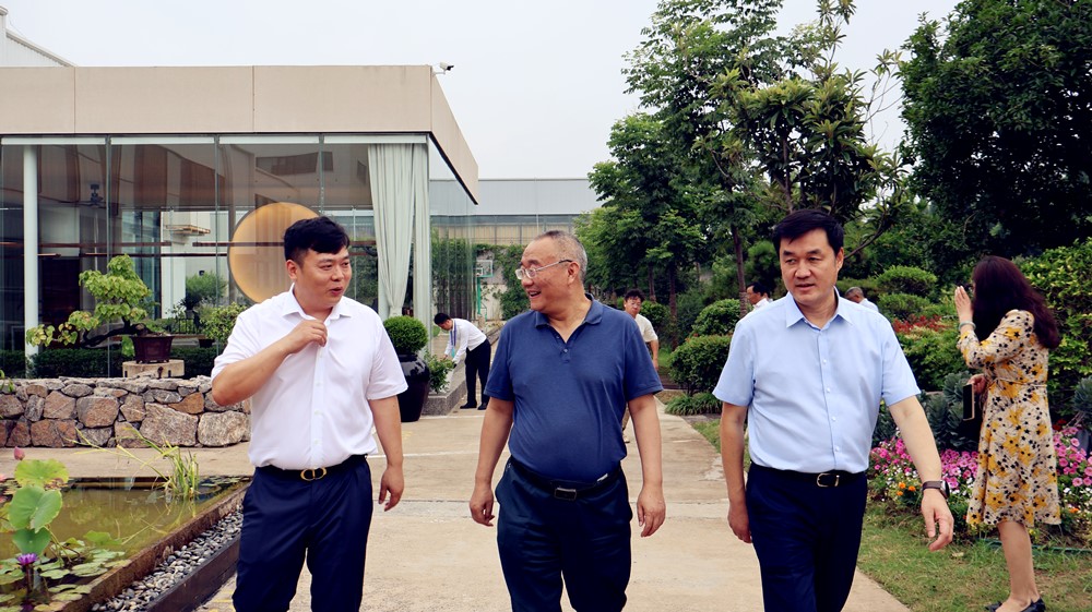 全省民建会员之家建设观摩团参观洛阳英国365集团民建“会员之家”